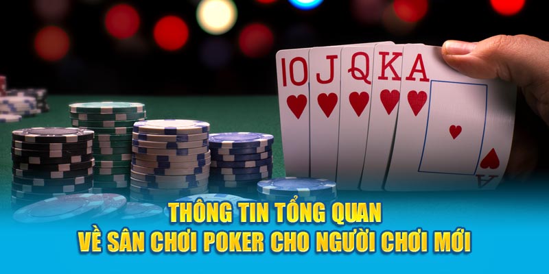 Thông tin tổng quan về sân chơi Poker cho người chơi mới